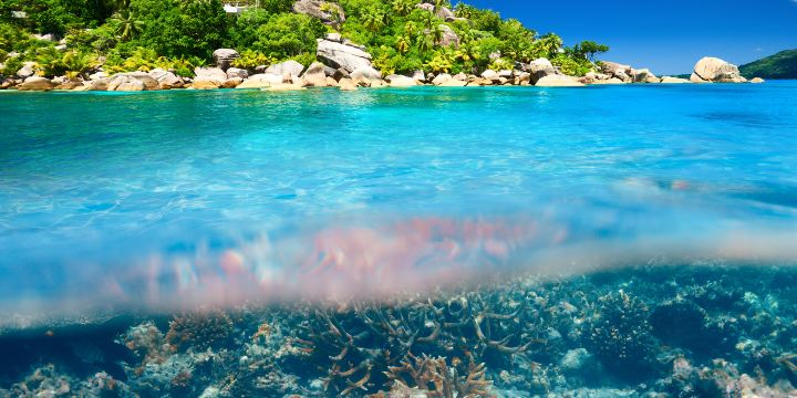 หาดทรายนวล