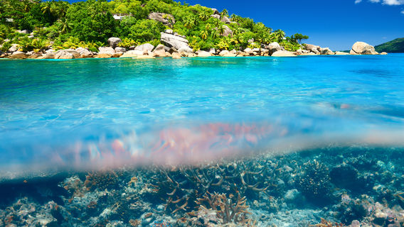 Koh Tao