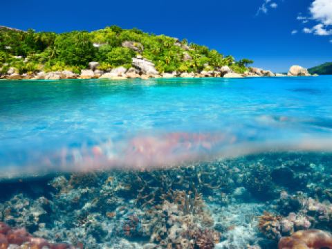 เกาะเต่า วางแผนการเดินทาง 4วัน3คืน แพ็คเกจท่องเที่ยว