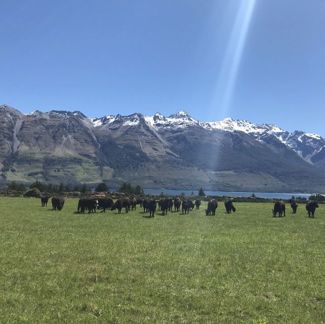 Queenstown - Newzealand 