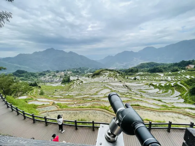 雲和梯田｜探秘江浙滬最大的梯田群 