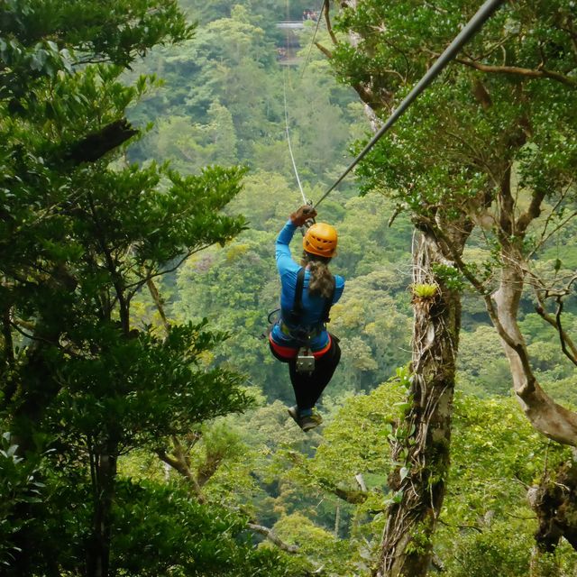 Best canopy in Costa Rica: Monteverde 