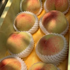 桃緣山莊張用戶圖片