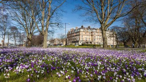 Harrogate travel destination