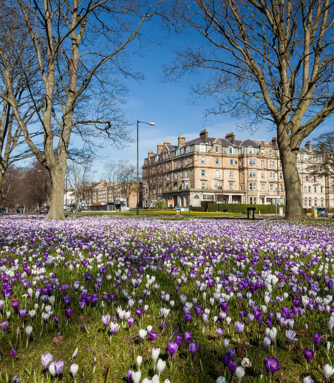 Harrogate