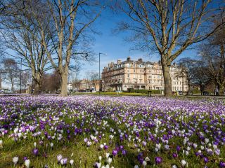 Hotels near Harrogate Montpellier Petanque Club Harrogate