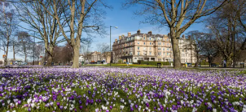 Hotels in Harrogate
