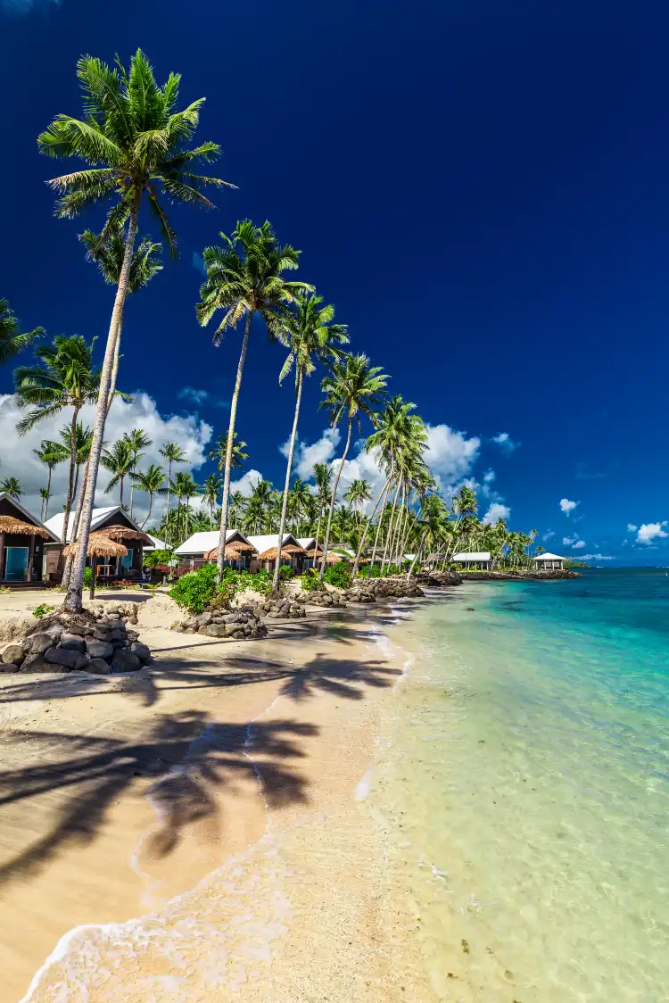 Apia