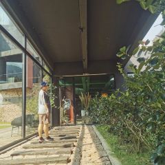 Zhimagu·jingling Restaurant User Photo