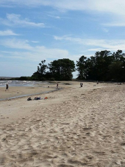 Playa Real de San Carlos