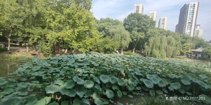 Jinhua Luobinwang Park