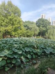 Luo Binwang Park