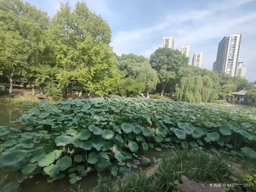 Hotels near Luo Binwang Park