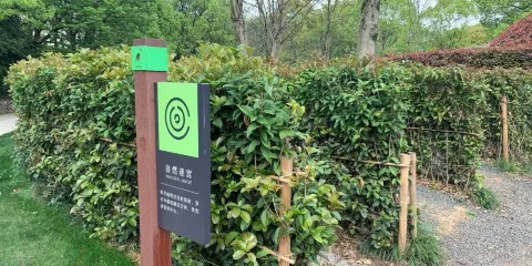 良渚文化村-白鷺公園