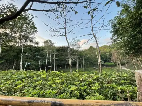 鄰近龍崗區大運公園的酒店