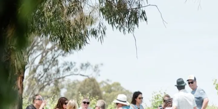 St Leonards Vineyard Kitchen