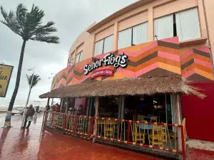 Señor Frog´s - Cozumel - Punta Langosta