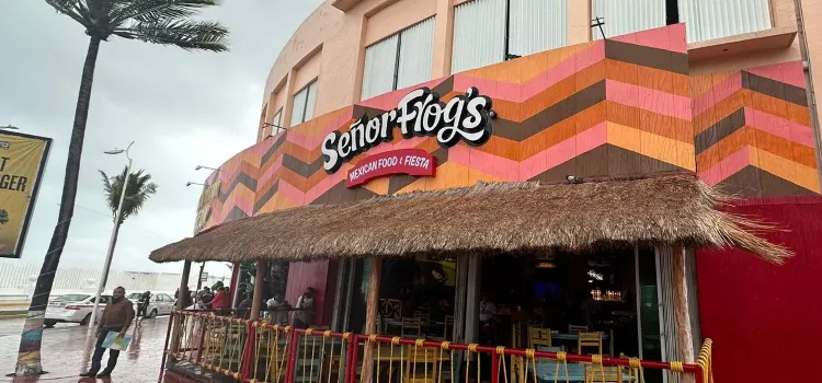 Señor Frog´s - Cozumel - Punta Langosta