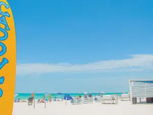Caddy's Treasure Island