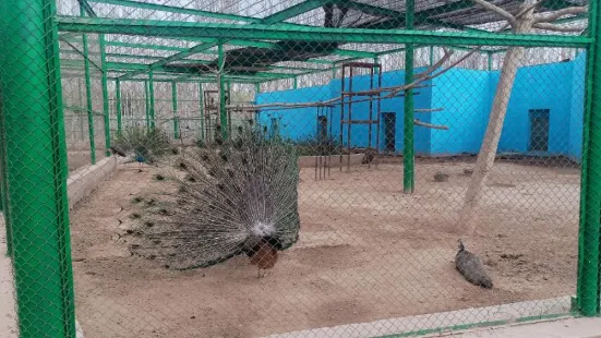 Kashgar Zoo