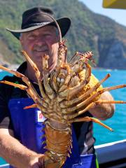 Kaikoura Fishing Tours