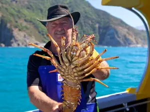 Kaikoura Fishing Tours