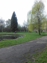 Bodnarivka Park