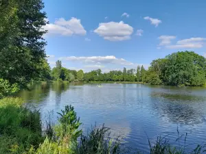 ミエイスキ im. タデウシャ・コシチュシュキ公園