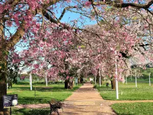 Parque das Barrigudas