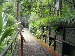 Uruapan National Park