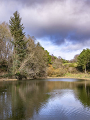 Farmleigh Park