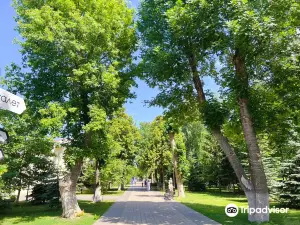 Струковский сад
