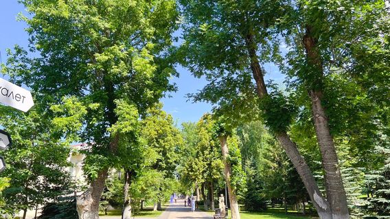 Струковский сад