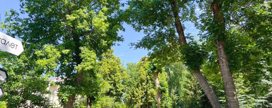 Strukovskiy Garden
