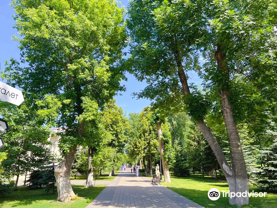 1_Струковский сад