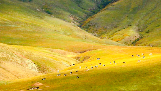 Heitou Mountain