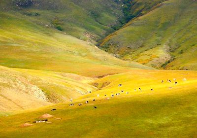 Heitou Mountain