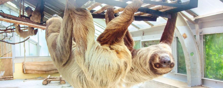 Jardin Zoologique et Botanique de la Capitale Budapest