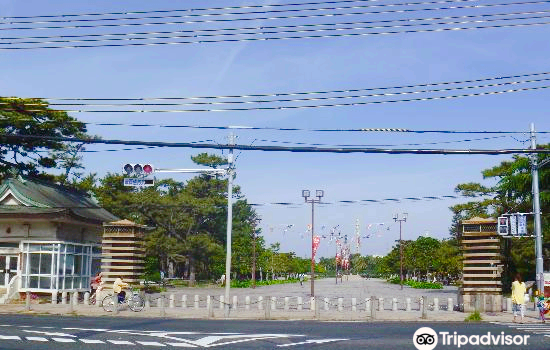 Hamadera Park
