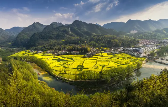 Rapeseed Flowers Viewing in Hanzhong