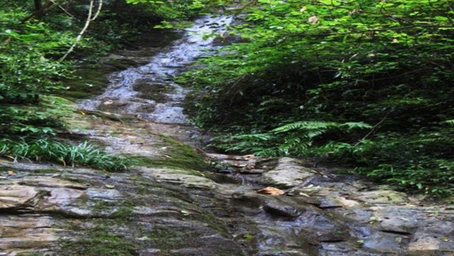 Butterfly Spring Waterfall