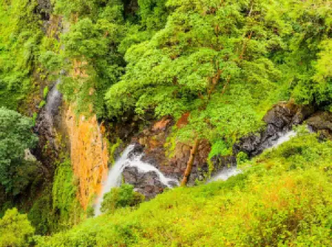 Mapleton Riverside Park