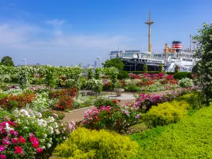 Yamashita Park