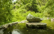 八仙山國家森林遊樂區