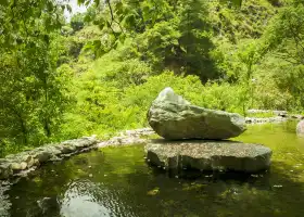 八仙山國家森林遊樂區