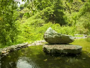 八仙山國家森林遊樂區