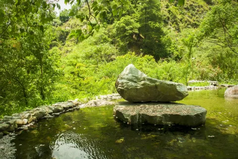 八仙山國家森林遊樂區