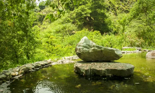 八仙山國家森林遊樂區