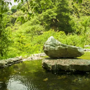 八仙山國家森林遊樂區