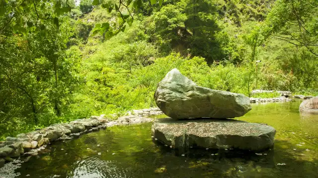 八仙山國家森林遊樂區